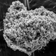 Image for article titled Comet Dust Has Been Hiding Out in Antarctica This Whole Time